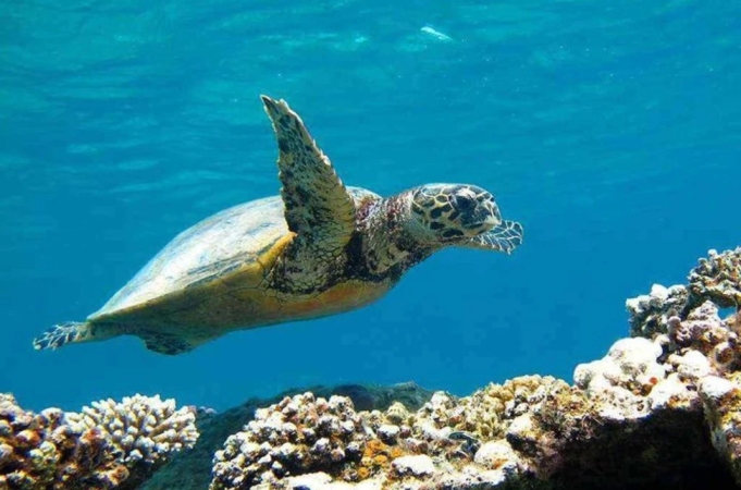 17.05 - 24.05: Marsa Alam - Futura Club Brayka Resort Grandi Viaggi