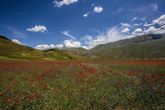 28.06: Fioritura di Castelluccio - Roccaporena e Cascia Gite 1 giorno
