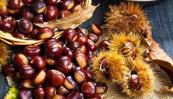 18.10: Giornata al Verghereto - Raccolta Castagne 